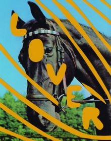 Book cover of Stef Mosebach's Queer Horses, with a foal behind a stencilled title. Published by Verlag Kettler.