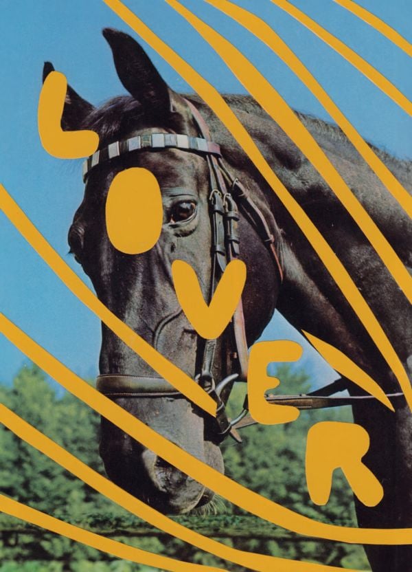 Book cover of Stef Mosebach's Queer Horses, with a foal behind a stenciled title. Published by Verlag Kettler.