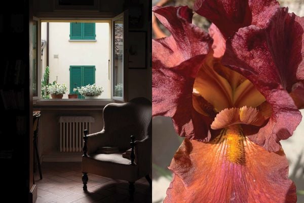 Book cover of Like we could almost live forever. Published by Verlag Kettler.