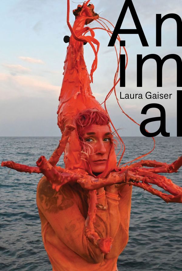 Book cover of Animal: Laura Gaiser; featuring a person dressed as a shrimp. Published by Verlag Kettler.