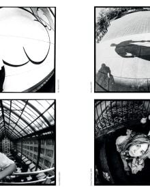 Capsule