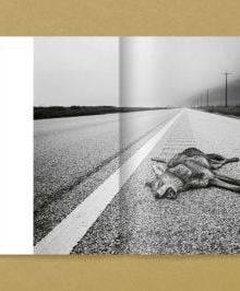 Book cover of GTX. Galveston/TX and the Gulf Coast: Jörg Rubbert. Published by Verlag Kettler.