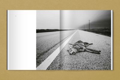 Book cover of GTX. Galveston/TX and the Gulf Coast: Jörg Rubbert. Published by Verlag Kettler.
