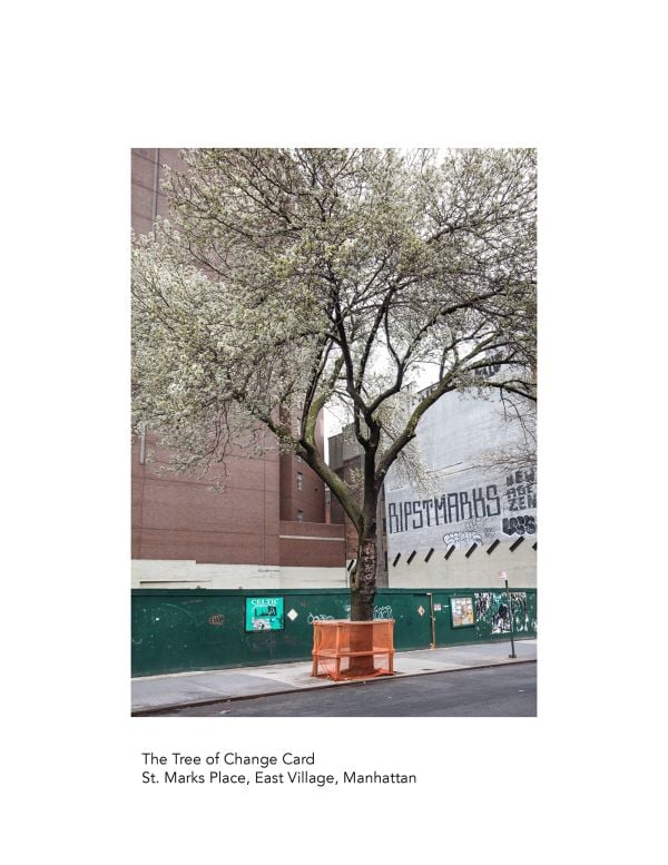 The New York City Street Tree Tarot