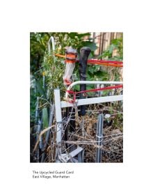 The New York City Street Tree Tarot