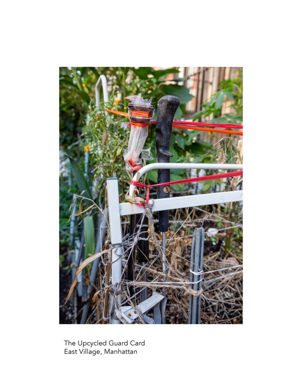 The New York City Street Tree Tarot