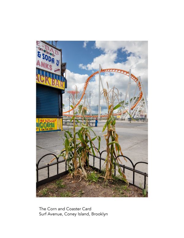 The New York City Street Tree Tarot