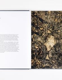 Canan Tolon: Havadan Sudan | About the Weather