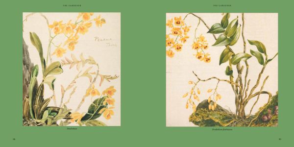 Book cover of Maymyo Days, with two elephants with handlers, dragging wood behind them on chains. Published by River Books.