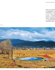 Fields of Being