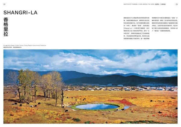 Fields of Being