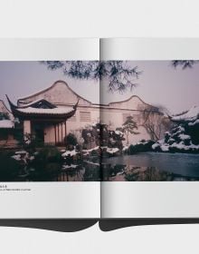 Wandering Through Jiangnan Gardens: Master-of-Nets Garden