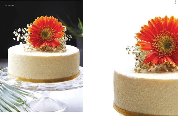 Dark Side of the Bean