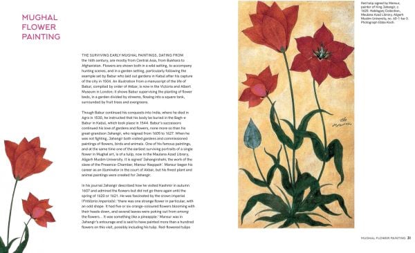 Book cover of Indian Botanical Art: An Illustrated History; featuring a pink flower. Published by Roli Books.