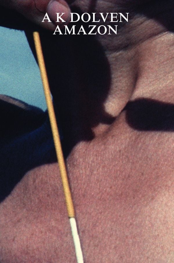 Book cover of A K Dolven: amazon. Published by National Museum, Oslo.