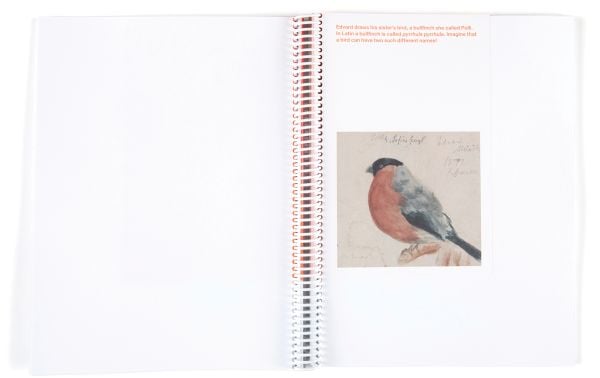 Book cover of No One Has Seen What You See, with a colorful sunset drawing. Published by MUNCH.