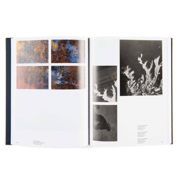 Book cover of The Savage Eye, with detail of untitled painting by Max Ernst. Published by MUNCH.