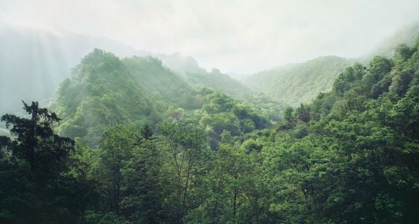 Book cover of Light of Spain: Fernando Manso, with the Spanish coast and mountains behind. Published by Ediciones El Viso.
