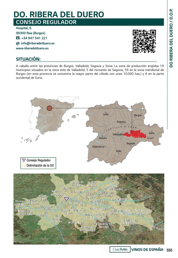 Book cover of Guía Peñín Vinos de España 2025. Published by Grupo Penin.