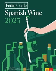 Book cover of Peñin Guide Spanish Wine 2025. Published by Grupo Penin.