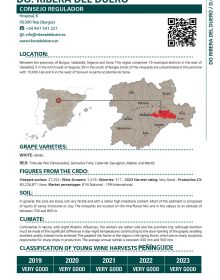 Book cover of Peñin Guide Spanish Wine 2025. Published by Grupo Penin.