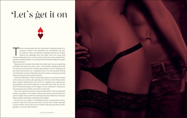 Book cover of The Sex Cookbook. Published by Helmin & Sorgenfri.