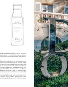 The Essence of Dior