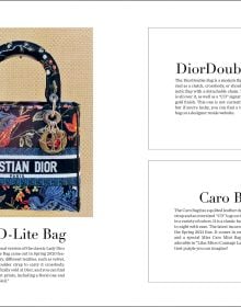 The Essence of Dior