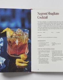 Book cover of Vermouth: A Classic Revival; featuring a cocktail, with an olive on a stick. Published by Helmin & Sorgenfri.
