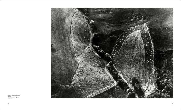 Book cover of Mario Giacomelli: Written Landscapes. Published by Silvana.