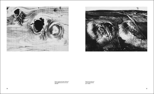 Book cover of Mario Giacomelli: Written Landscapes. Published by Silvana.