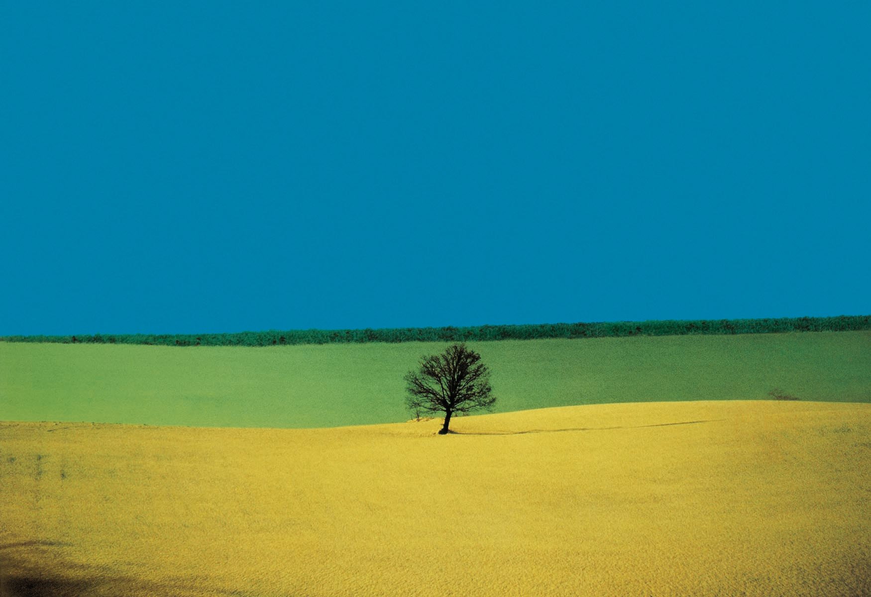 Calming blue sea landscape photo, on grey cover, Franco Fontana Behind the Invisible in white and black font to lower left