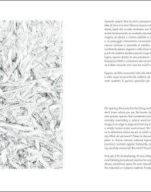 Photo of skeletal inside of cigarette factory during its construction with eerie shafts of light beaming through