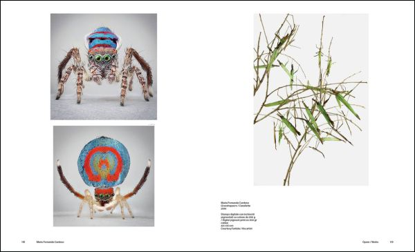 Head and shoulders of person upside down, facing landscape with dark clouds, on purple cover, AUSTRALIA ANTIPODEAN STORIES in black font above.