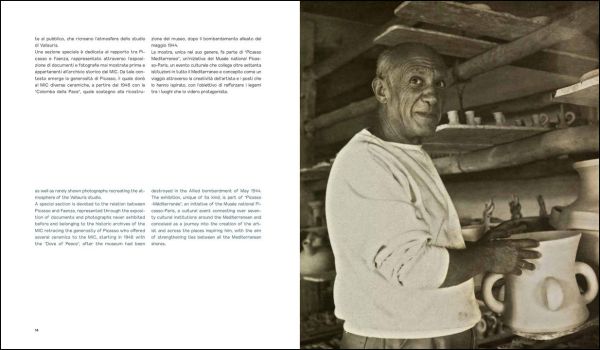 The four season ceramic vase by Pablo Picasso with back of nude female figure on front, grey cover, PICASSO The challenge of ceramics in orange and white font to centre left.