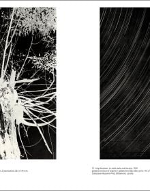 Monochrome abstract photo with organic formed patterns, Forma/Informe The Non-objective Phase of Italian Photography in white font to centre left.