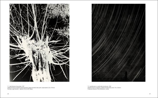 Monochrome abstract photo with organic formed patterns, Forma/Informe The Non-objective Phase of Italian Photography in white font to centre left.