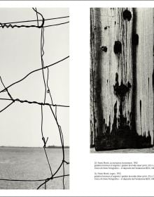 Monochrome abstract photo with organic formed patterns, Forma/Informe The Non-objective Phase of Italian Photography in white font to centre left.