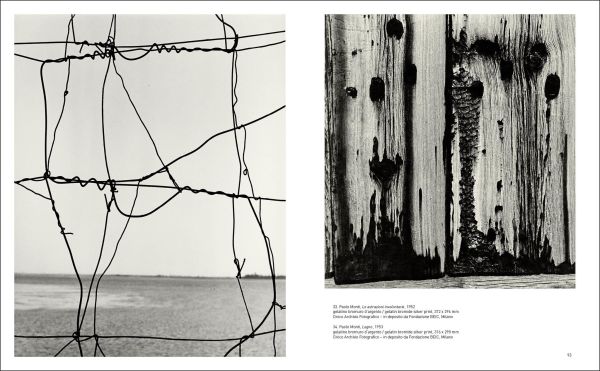 Monochrome abstract photo with organic formed patterns, Forma/Informe The Non-objective Phase of Italian Photography in white font to centre left.