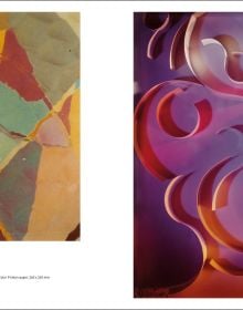 Monochrome abstract photo with organic formed patterns, Forma/Informe The Non-objective Phase of Italian Photography in white font to centre left.