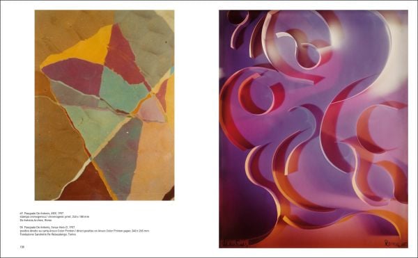 Monochrome abstract photo with organic formed patterns, Forma/Informe The Non-objective Phase of Italian Photography in white font to centre left.