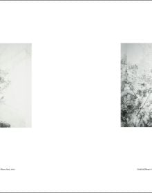 Book cover of Luisa Lambri: Autoritratto. Published by Silvana.