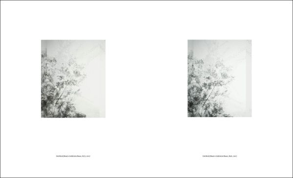 Book cover of Luisa Lambri: Autoritratto. Published by Silvana.