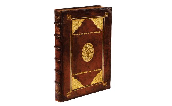 Green foliage on white cover of 'Seeds of Knowledge, Early Modern Illustrated Herbals', by Silvana.