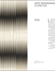 Book cover of Fondazione Ghisla: Art Collection Locarno. Published by Silvana.