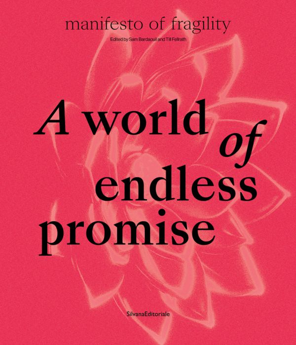 Book cover of A World of Endless Promise: The 16th Lyon Biennale: Manifesto of Fragility. Published by Silvana