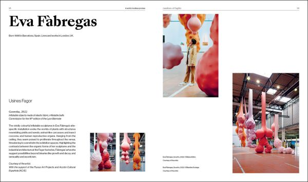 Book cover of A World of Endless Promise: The 16th Lyon Biennale: Manifesto of Fragility. Published by Silvana