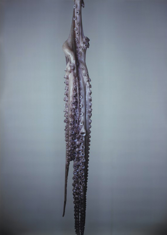 Book cover of The many lives and deaths of Louise Brunet. Published by Silvana.