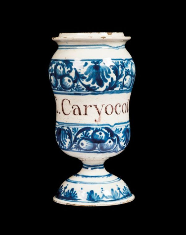 Book cover of The many lives and deaths of Louise Brunet. Published by Silvana.