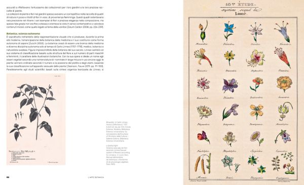 Book cover of Ars Botanica: Paper Gardens in the Miramare Library, with Pierre-Joseph Redouté's botanical print of pale pink rose with green leaves. Published by Silvana.